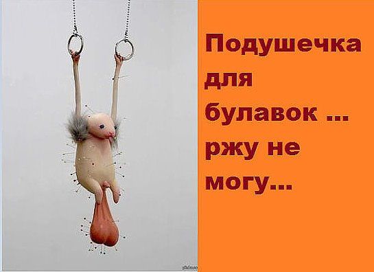 65e61a17a57b46b89d4886a721b105ed.jpg