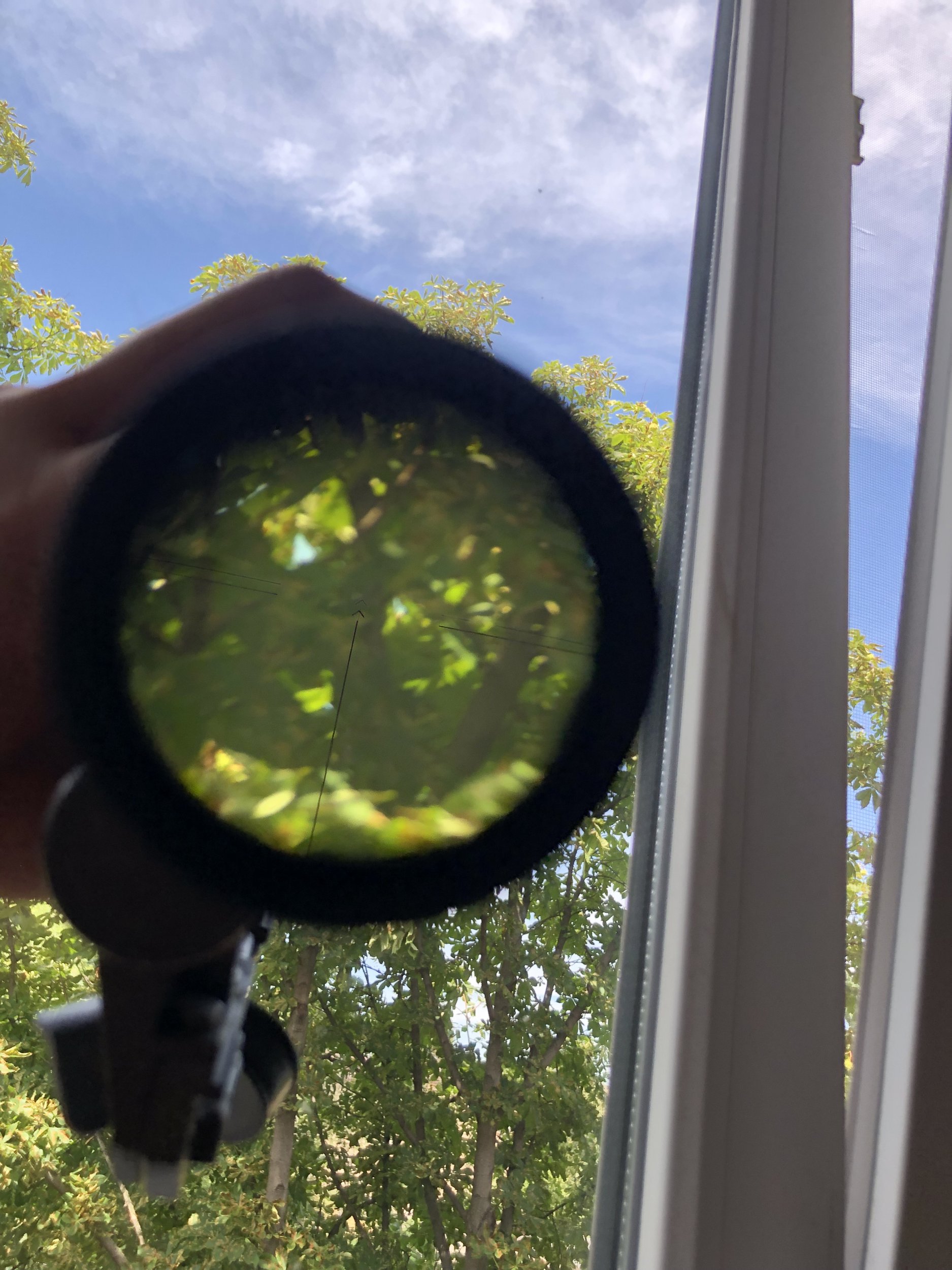 6612F059-82ED-44D4-B5D0-733F5A3A62D6.jpeg