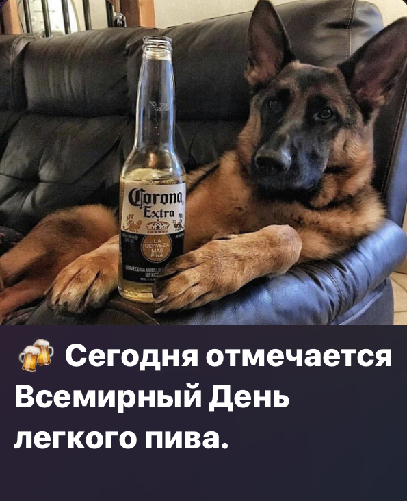 66ACC77C-7227-4408-90AE-990A507E2789.jpeg