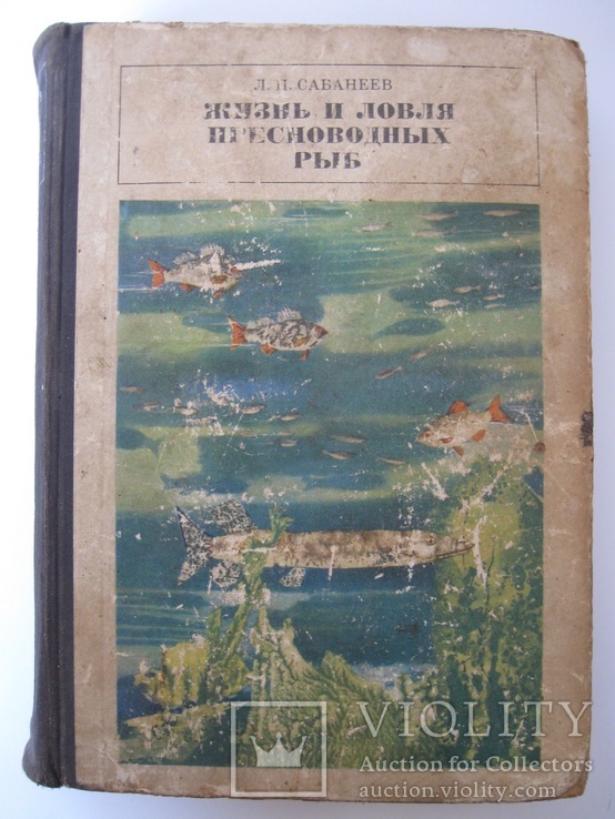 67082644.jpg
