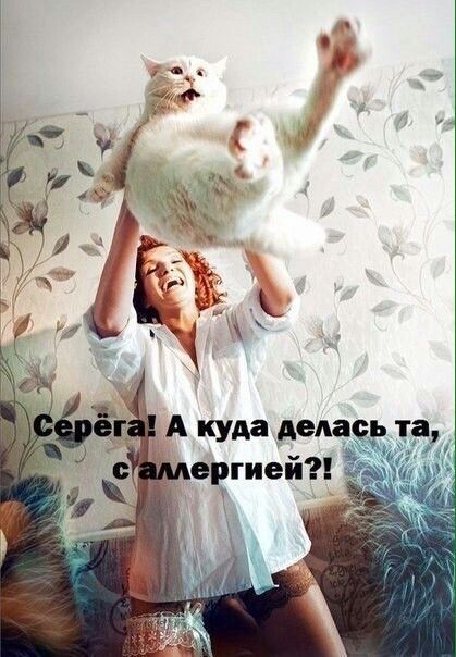 67e30c349f0538d17e39e62b70ee8716.jpg