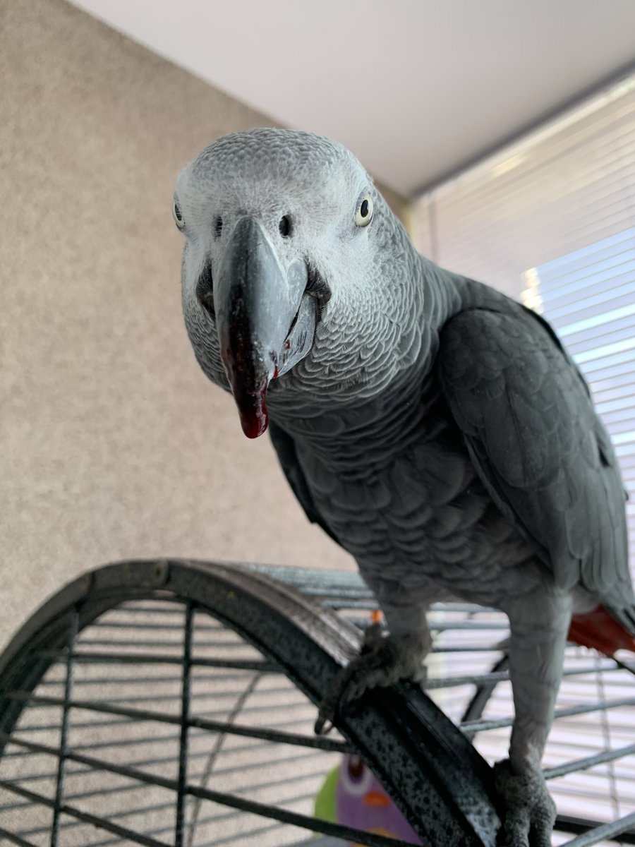6852E3C2-DD7C-44C8-81B1-AB9F75F2C00B.jpeg