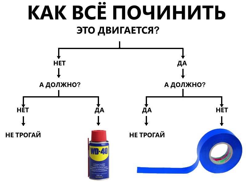 6888274.jpg