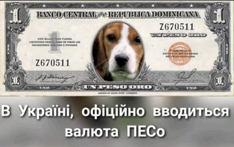 6A35188D-9363-411D-B658-3006793E6D65.jpeg