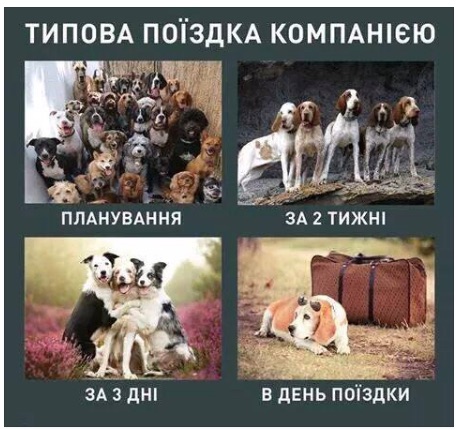 6BFB4FE3-A488-48E6-9212-0196DC2A33A8.jpeg