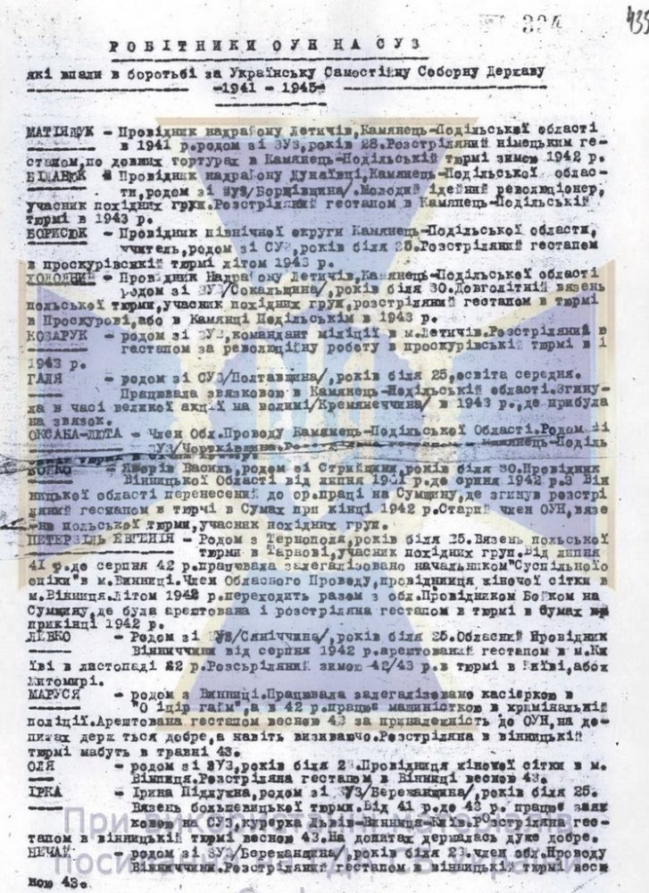 6cpvg3VvGlM[1].jpg