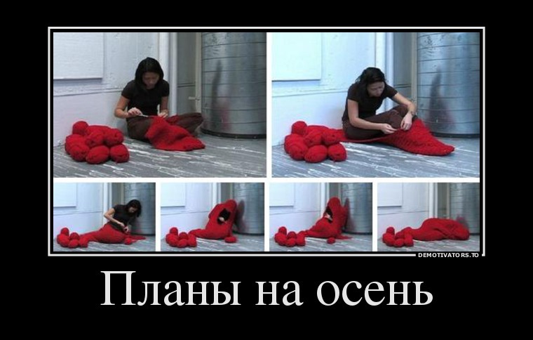 6df72d87b8b68277b7f2d61caf0a60bc.jpg