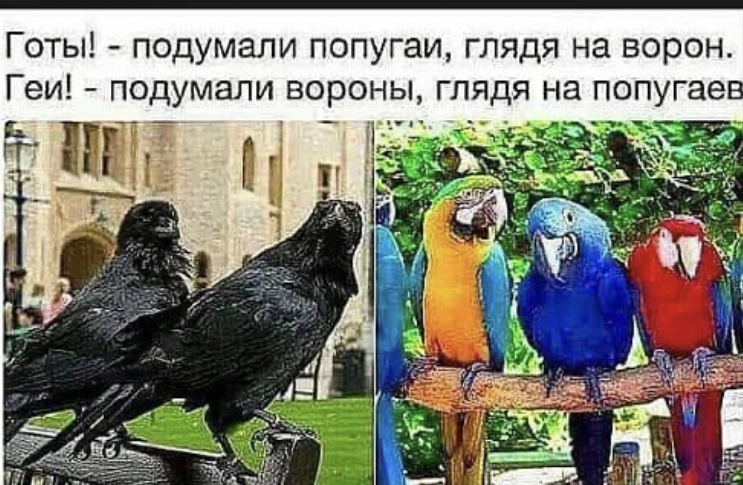 6E0881C1-0D7D-49CE-9D2D-7622E03B0EFC.jpeg