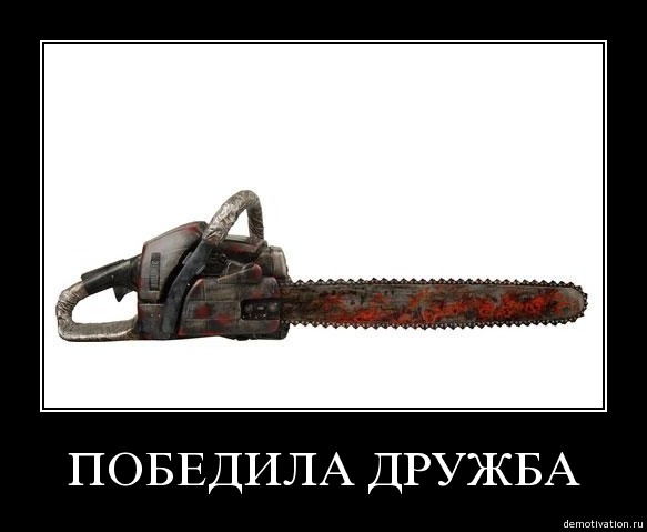 6t354w0reqd6.jpg