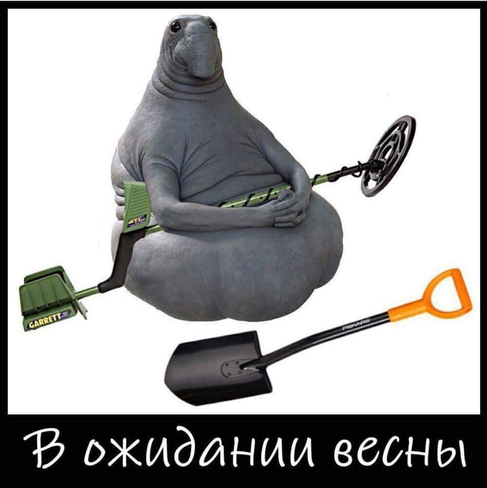 70A484C5-C672-4DE3-99B8-707E7472EF79.jpeg