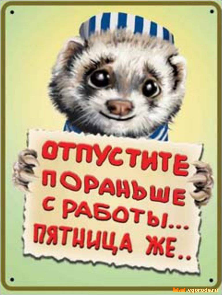 71232192_3.jpg
