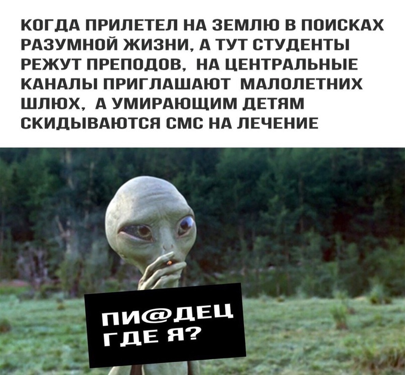 720rbQi1n2Q.jpg