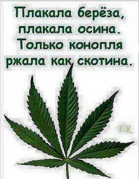 725_n.jpg