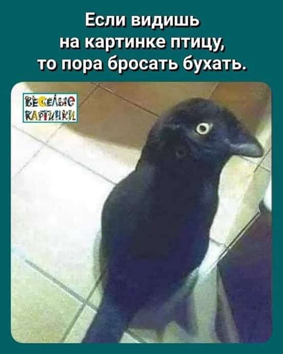 72891206_394678871482639_4495487069803511808_n.jpg