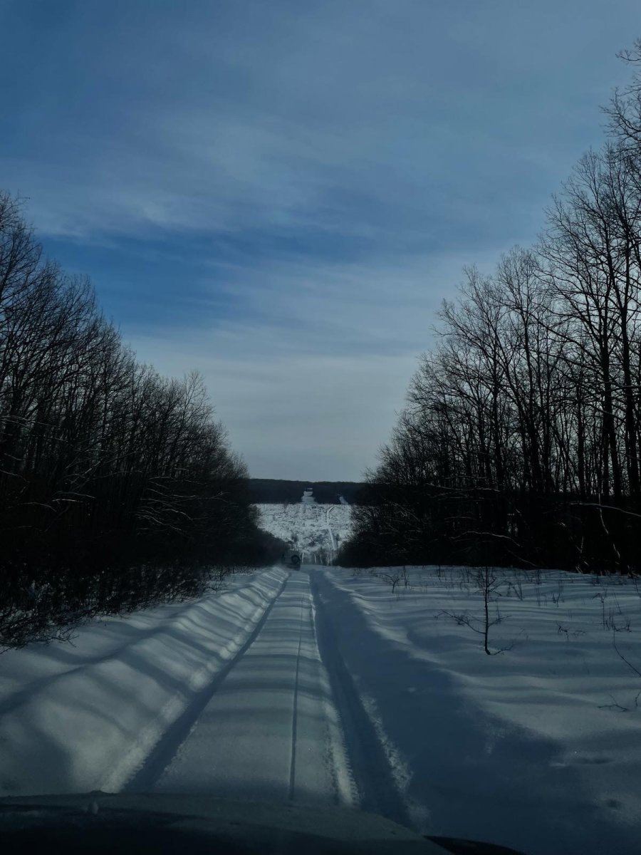 786C4352-4C74-46CC-B3D9-6EC13A3C9D2F.jpeg