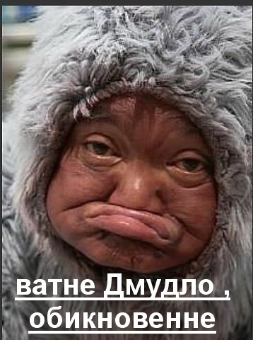 79.jpg