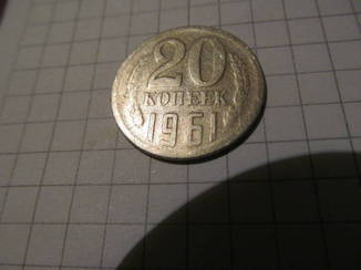 7936232.jpg