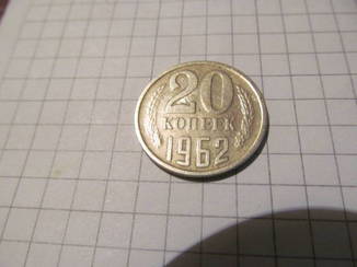 7936269.jpg