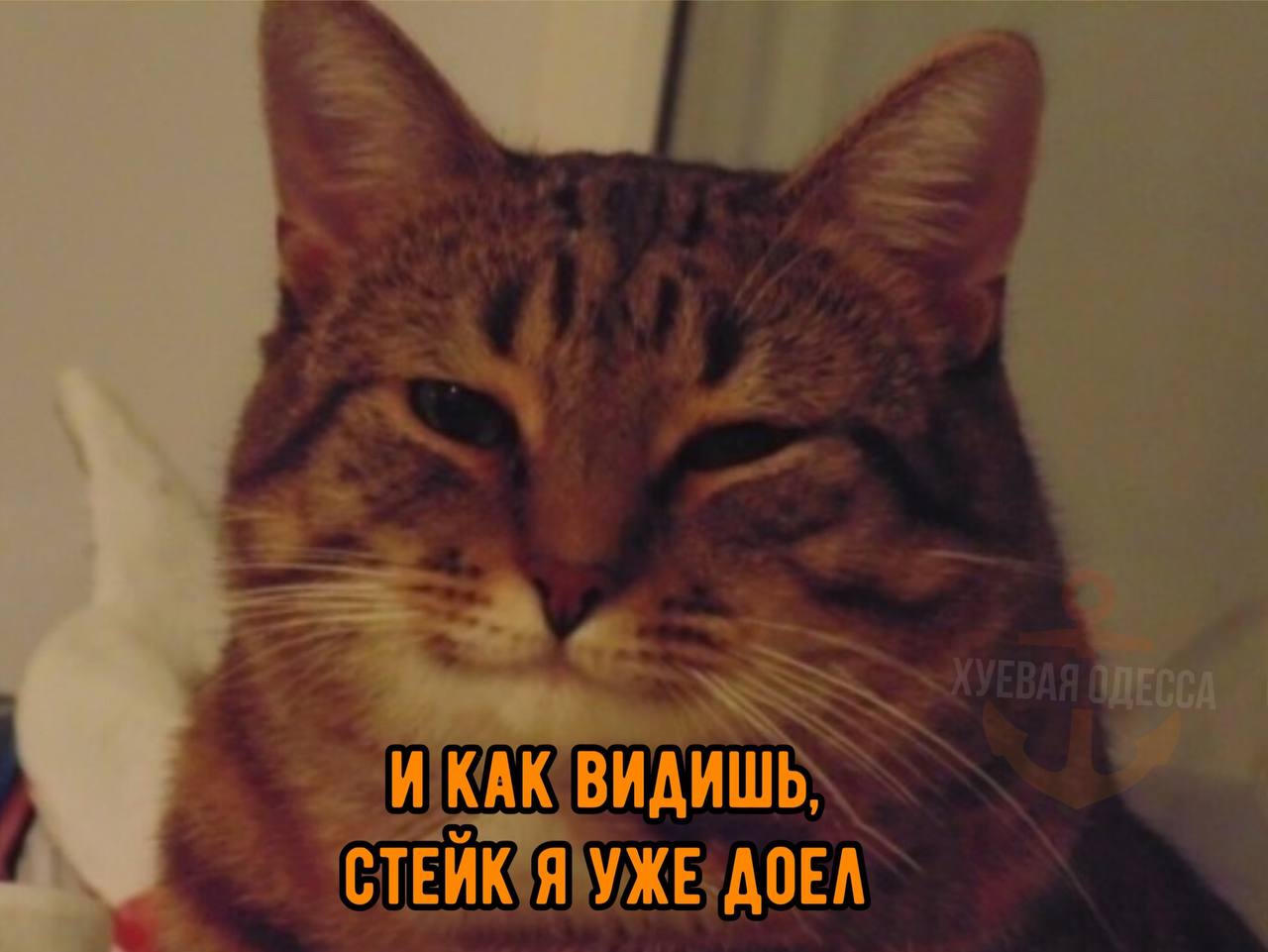 7C1A894B-B21B-45AC-9DD9-1136A26ED062.jpeg