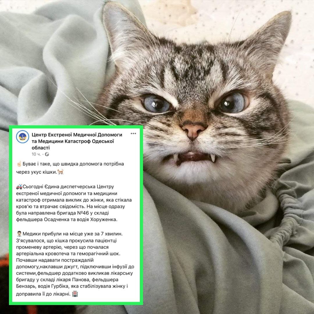 7C279767-AF45-4440-A16F-C6A99D7F9ADC.jpeg