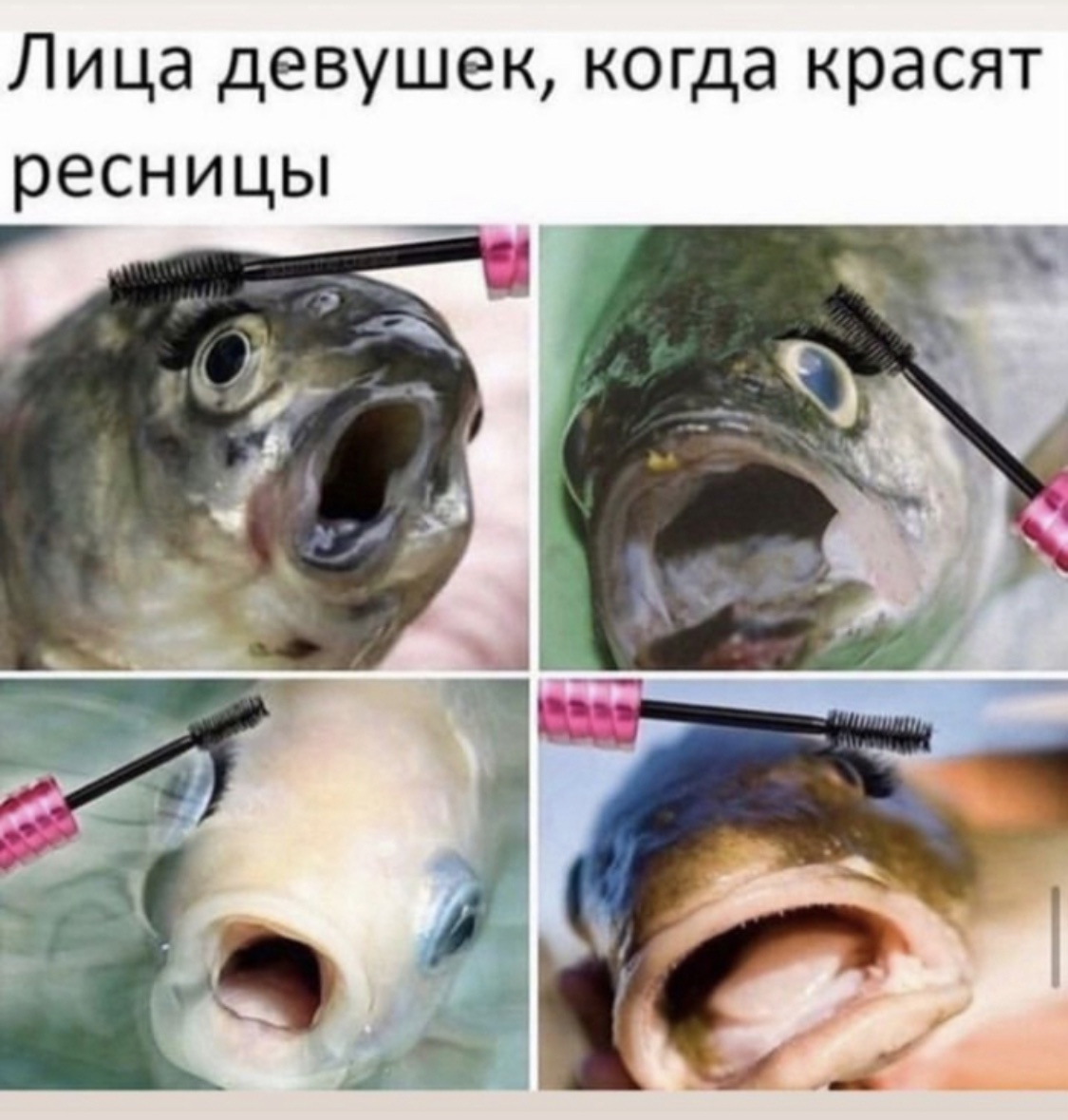 7C97172A-ACB8-4FDE-AC7B-858019D0FC58.jpeg