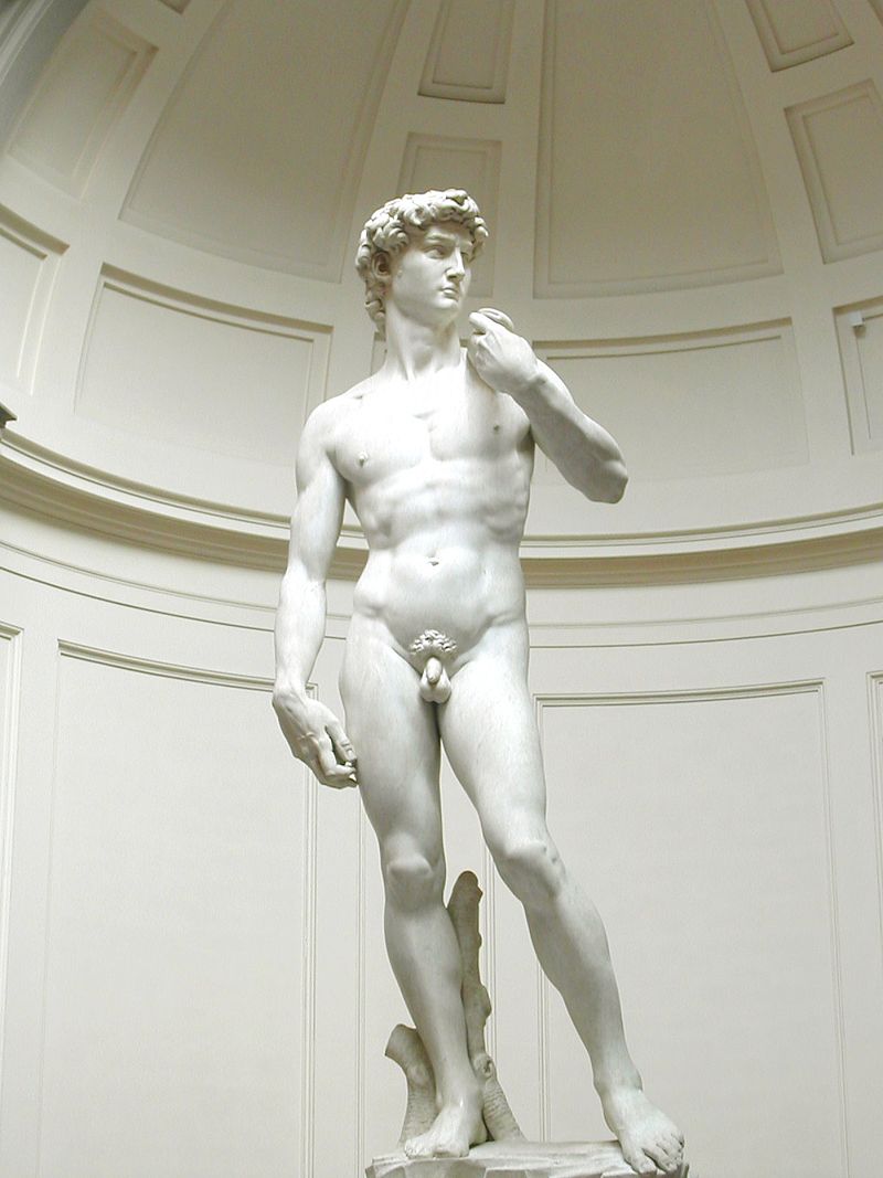 800px-Michelangelos_David.jpg