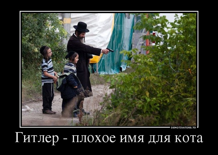 8212763_gitler-plohoe-imya-dlya-kota.jpg
