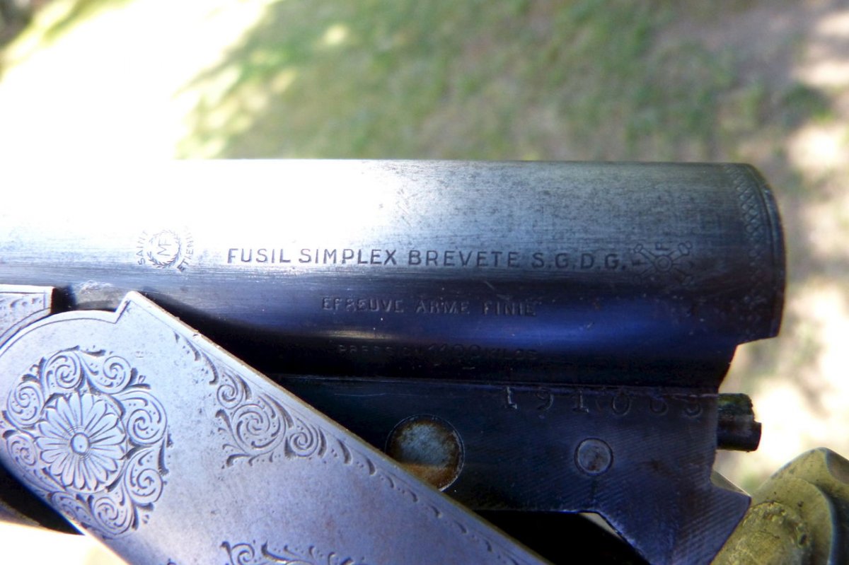 8215292.jpg