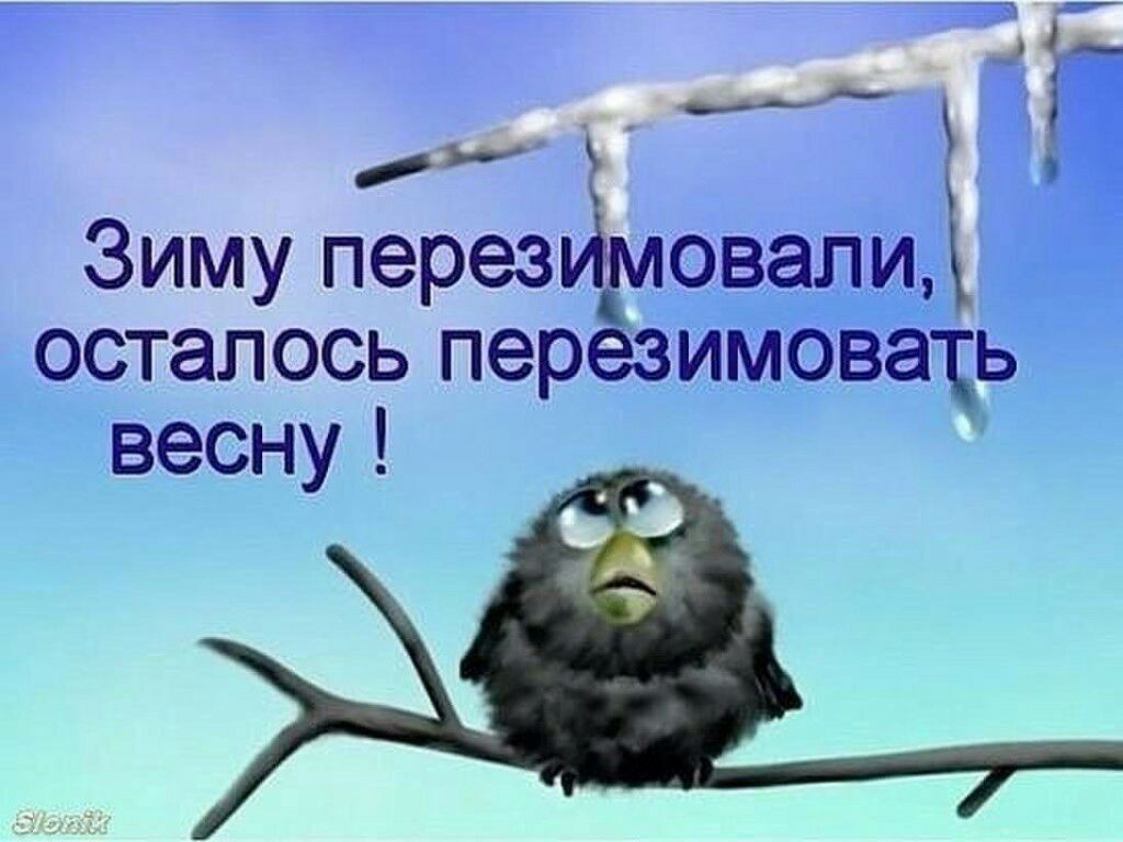8233.jpg
