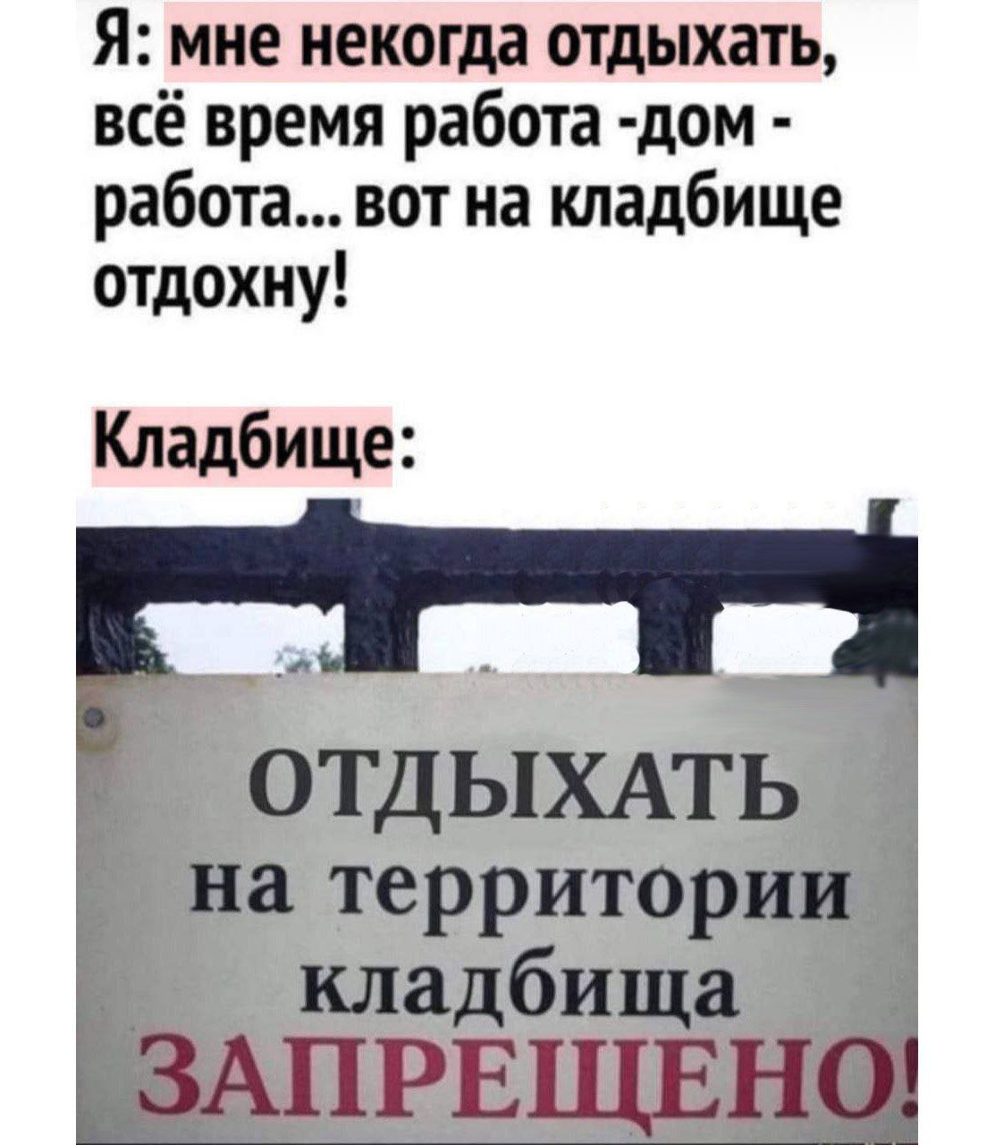 8264D7D8-3D83-43B1-A841-EC5D46EF4C22.jpeg