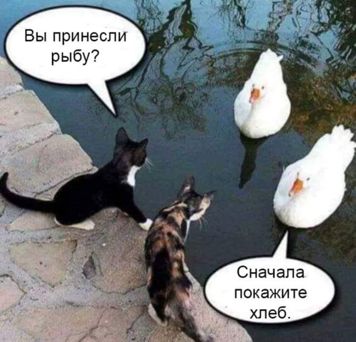 83817ABC-0D64-4903-997E-3C0FFF489BCF.jpeg