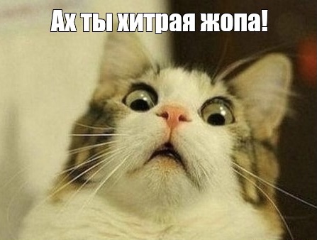 83D81616-DF91-41EC-AF3C-75F862A87B41.jpeg