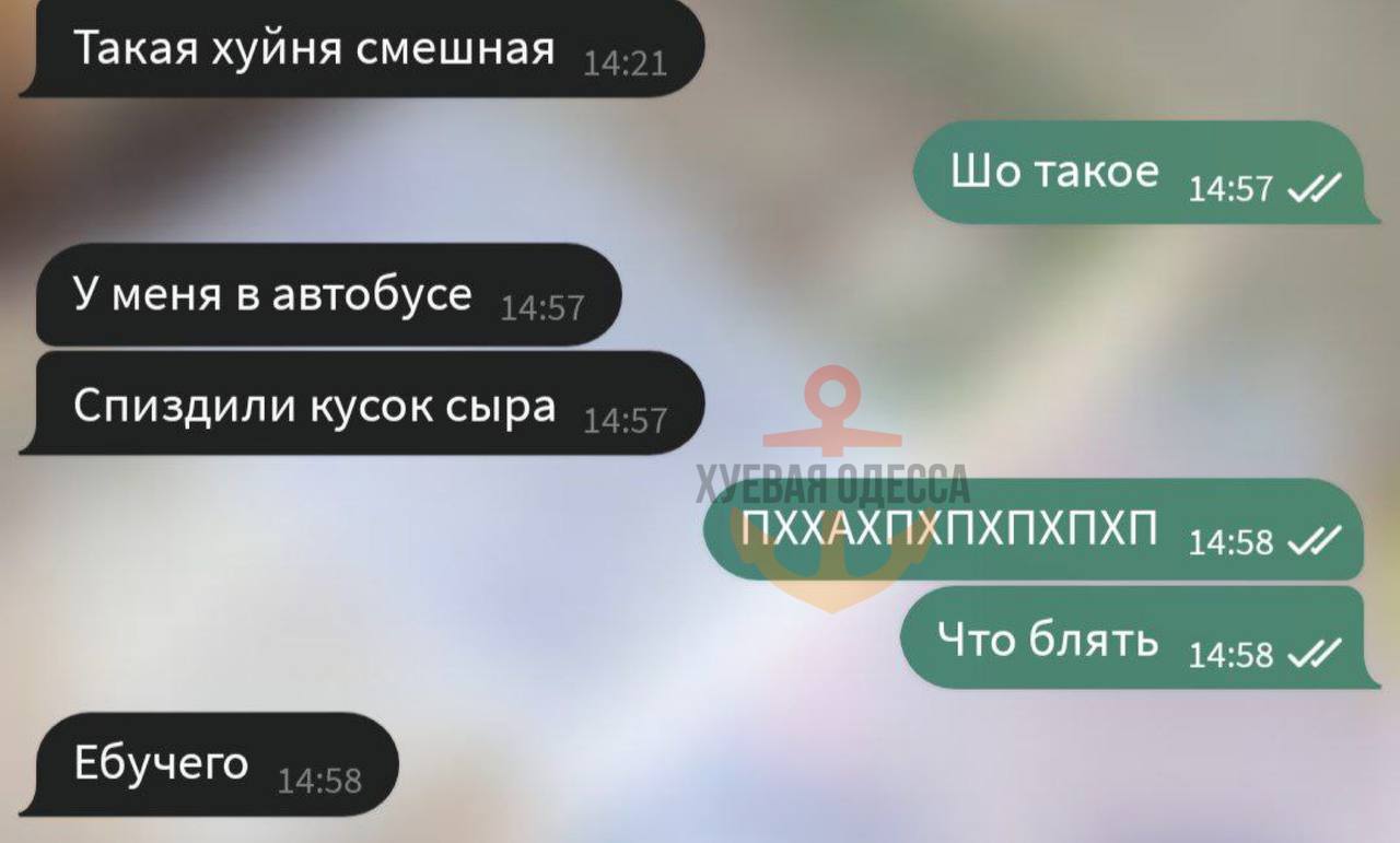 842B1436-42BB-4158-B92F-2A9BF809D8C2.jpeg