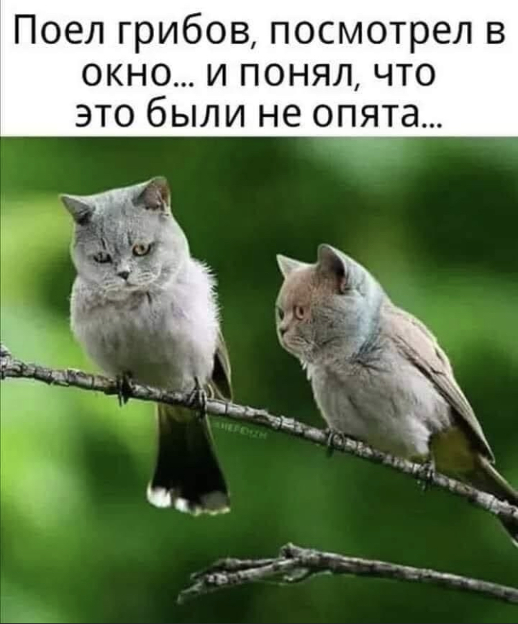 8536C2EA-7D69-4D2E-941B-F60DA113CD7F.jpeg