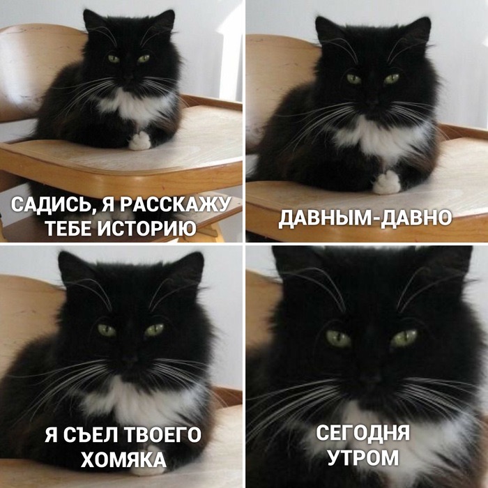 85F52BCF-745C-4D7E-BB53-B6360D3AFCC8-13246-00000FDC25761A6B.JPG