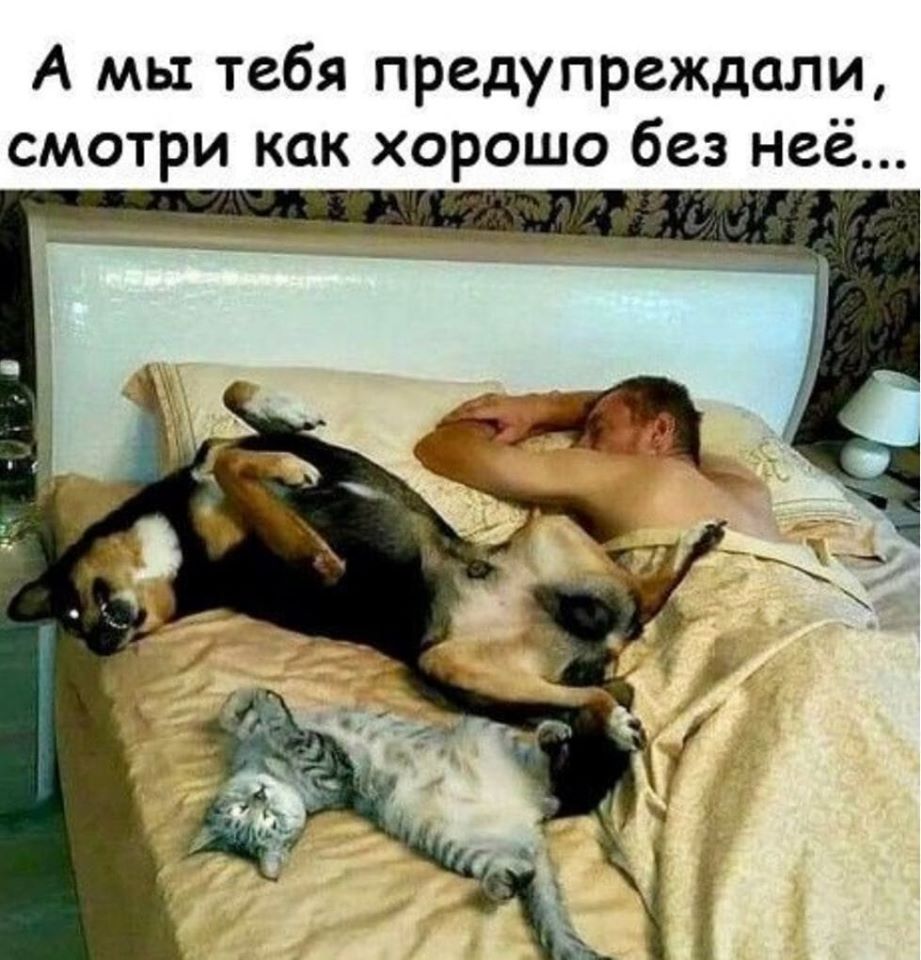 86776639_220022089170073_2255984185573376000_o.jpg