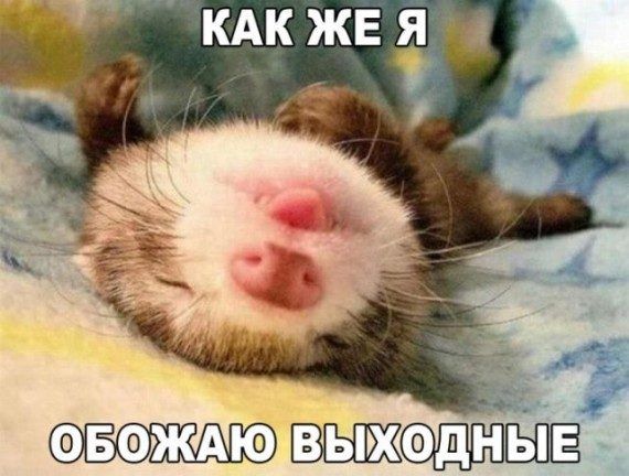 86f1f82f17bce1104cea247293baec5a.jpg