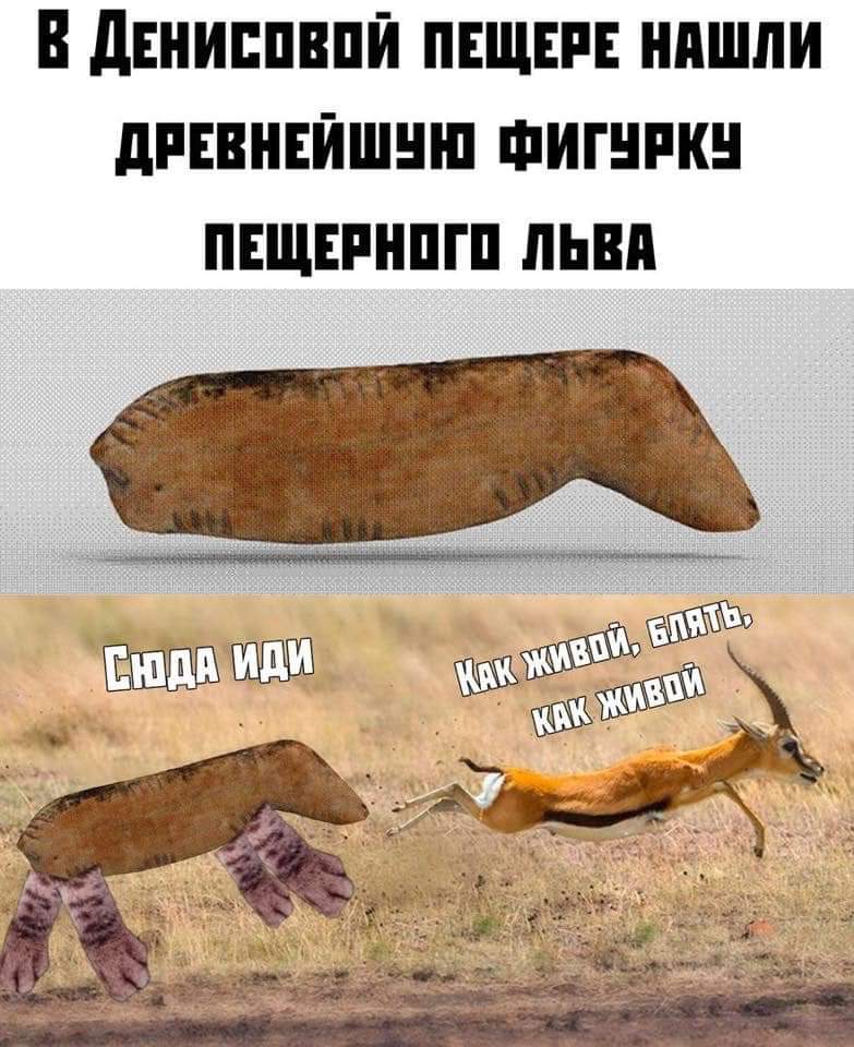 87.jpg