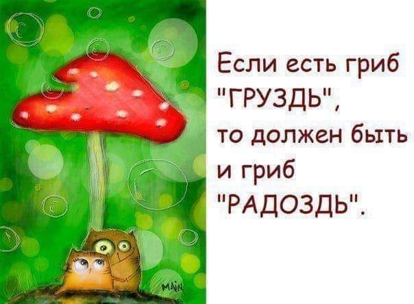 87010095_588620848386977_2151263034536886272_n (1).jpg