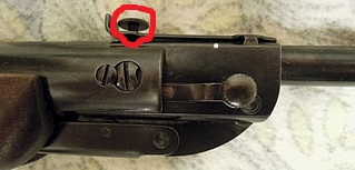 8758837.jpg