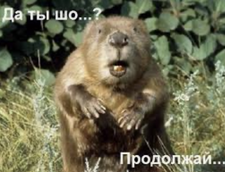 87D7AEB3-9084-4B0D-9DE5-4D78E5A34597.jpeg
