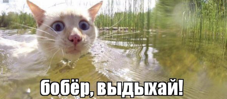 88868726-59F6-4295-ABD7-1E943D57F6DE.jpeg
