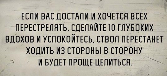 8918600.jpg