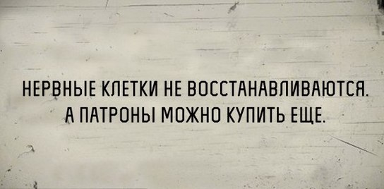 8918731.jpg