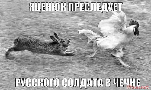 8980f8a41a38d69702d0.jpg