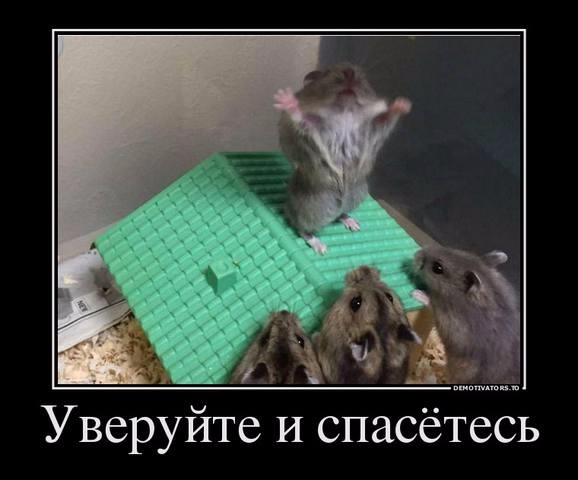 8a34c6caa8c1.jpeg