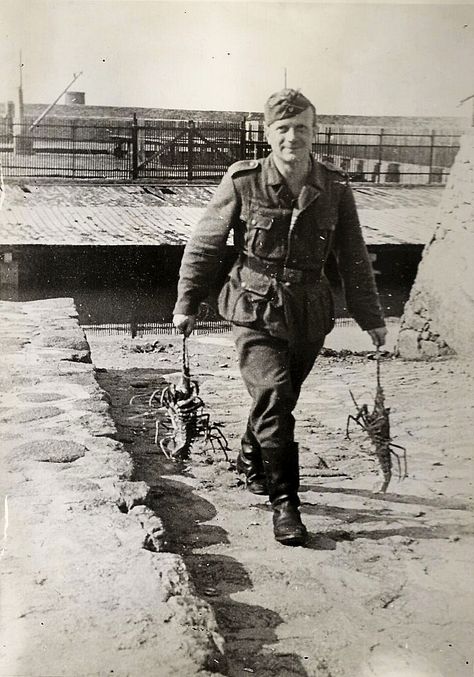 8b1464a7e26db4be116da7725c68f8e8--lobsters-wwii.jpg