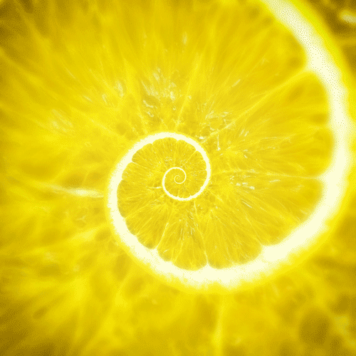 8C418734-6457-44F9-8D16-37AF3B7A3D06.gif