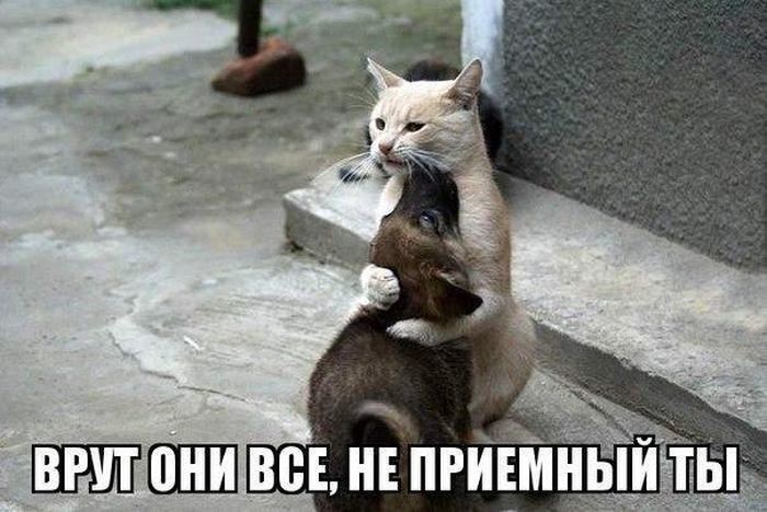 8ded9135f52c47c974800fbd4c9e87f0.jpg