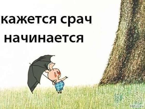 8e60bdbe5f4f7990911a8dc65ad206e2.jpg